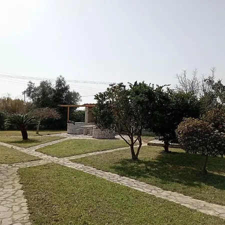 Lio's Xylokera