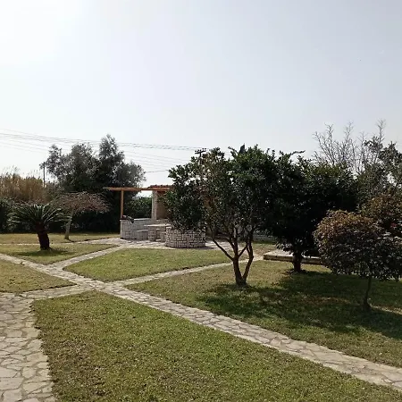 Lio's Xylokera